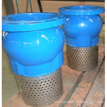 Cast Iron/Ductile Iron Flanged End Foot Valve